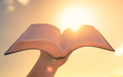 A Bible held up with the sun behind it, to illustrate the article The Word Became Flesh and Dwelt Among Us.